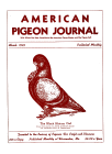 Magazine Cover